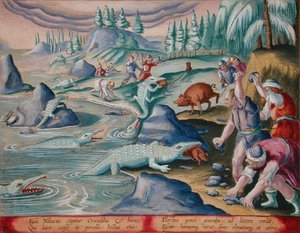 Fange krokodiller på bredden av Nilen ved å bruke tjorede griser som agn, plate 87 fra 