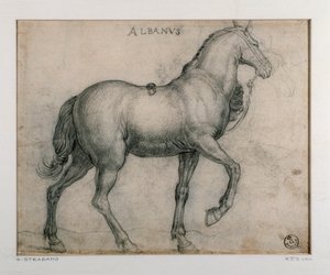Studie for en hest Tegning av Giovanni Stradano (Jan van der Straet) (1523-1605) Firenze, Institutt for trykk og tegninger, Uffizi (kontorer) av Jan van der Straet