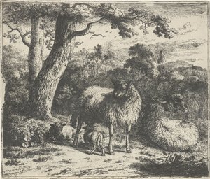 Stående sau med to lam av Jan van der Meer (II)