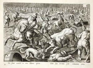 En masse tyrefekting i en innhegning, illustrasjon fra 