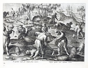 Grave ut og fange piggsvin, plate 54, illustrasjon fra 