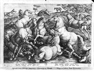 Hester i naturen av Jan van der Straet