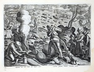 Jaktkaniner, illustrasjon fra 