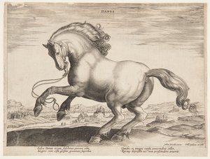 En dansk hest, fra det fjerde settet av "Equile Joannis Austriaci" av Jan van der Straet, called Stradanus