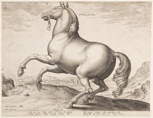 En fransk hest, fra det første settet av "Equile Joannis Austriaci" av Jan van der Straet, called Stradanus