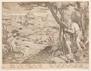 Tranejakt med kjegler, plate 28 i Hunts of Game, Birds and Fish-serien av Jan van der Straet, called Stradanus