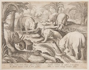 Elefanter som holder hverandre ut av en felle, tallerken 1 fra Game of Animals, Birds and Fish-serien av Jan van der Straet, called Stradanus