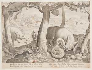 Fight between Elephants and Snakes, plate 2 fra Hunting of Wild Animals, Birds and Fish-serien av Jan van der Straet, called Stradanus