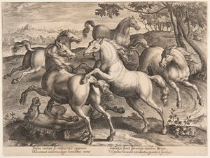 Fighting Horses, fra det fjerde settet av "Equile Joannis Austriaci" av Jan van der Straet, called Stradanus