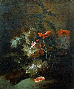 tistler og valmuer (olje på lerret)