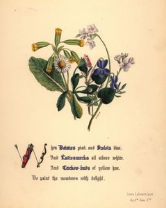  av Jane Elizabeth Giraud