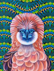Philippine Eagle, 2020 av Jane Tattersfield