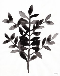 Botanisk med Nagi Fern III (blekk på papir)
