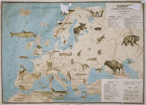 Kart over dyr i Europa, (fargegravering)