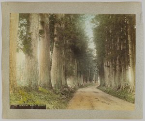 Imaichi Road, Nikko, Japan (håndfarget svart/hvitt-bilde) av Japanese Photographer