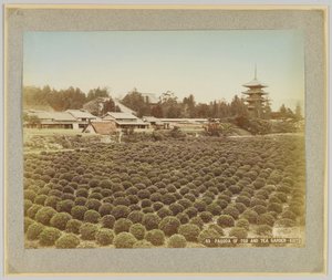 Pagoda of Toji and Tea Garden, Kyoto, Japan (håndfarget s/h-bilde) av Japanese Photographer