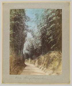 Vei gjennom en bambuslund, Japan (håndfarget svart/hvitt-bilde) av Japanese Photographer