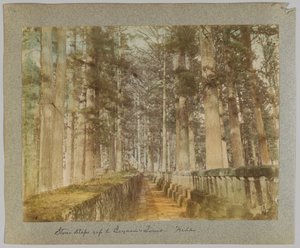 Steintrapper opp til Ieyasus grav, Nikko, Japan (håndfarget svart/hvitt-bilde) av Japanese Photographer
