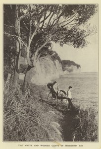 De hvite og skogkledde klippene i Mississippi Bay av Japanese Photographer