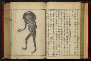 16084.d.15, f.24 A Neneko Kappa, fra 