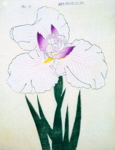 Grunt. -Kasumi Arimura. 43, 1898 av Japanese School