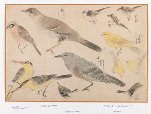 Fugler i Okyo-stil (fargetrykk av treblokk) av Japanese School