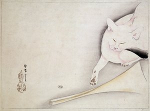 Katt, japansk tegning, n.d. 1800-tallet. av Japanese School