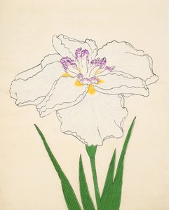 Cho-Hiyen, nr. 91, 1890 (treblokktrykk i farger) av Japanese School