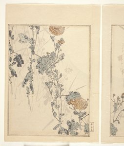 Krysantemum (farget treblokktrykk) (se også 374401) av Japanese School