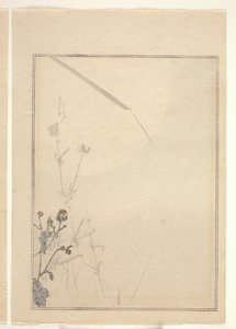 Krysantemum (farget treblokktrykk) (se også 374402) av Japanese School