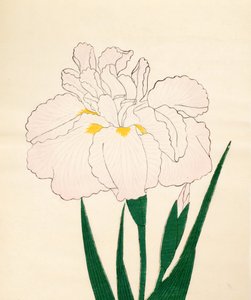En-Yo-No-Ten, nr. 73, 1890 (treblokktrykk i farger) av Japanese School