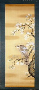 Falk på en gren av japansk kirsebær blomstret. Silkemaleri fra 1700-tallet i Japan. Genova. Museo Chiossone. av Japanese School