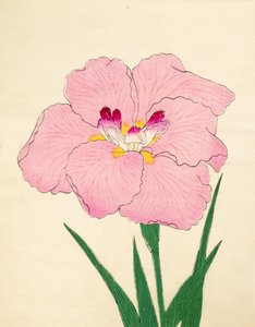 Gofukushoshu, nr. 86, 1890 (treblokktrykk i farger) av Japanese School