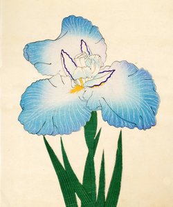 Irojiman, nr. 80, 1890 (treblokktrykk i farger) av Japanese School
