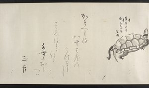 Eller. 14872, f.29, En skilpadde, fra Yoshida Seisai (håndrull) av Japanese School