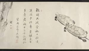 Eller. 14872, f.36, To skilpadder, fra Yoshida Seisai (handscroll) av Japanese School