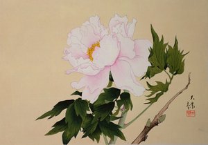 Peony, pub. 1950 av Japanese School