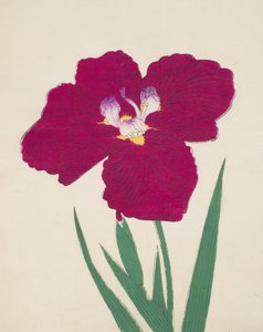 Tai-Hei-Raku, nr. 18, 1890 (treblokktrykk i farger) av Japanese School