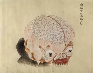 Hjernens anatomi fra disseksjonen av et torturoffer fra 1796, fra en makimono av en Midori-lege, 1842 (penn og blekk og wc på papir) av Japanese School