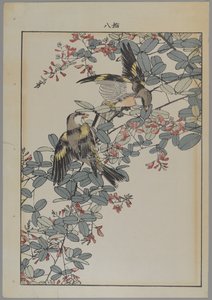 To fugler med rosa blomster, Meiji-perioden, ca. 1868-1912 (farget treblokktrykk) av Japanese School