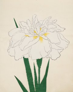 Ujaku-No Nagisa. 61, 1890 av Japanese School