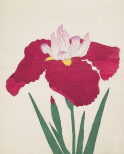 Yamamatayama, nr. 83, 1890 (farget treblokktrykk) av Japanese School