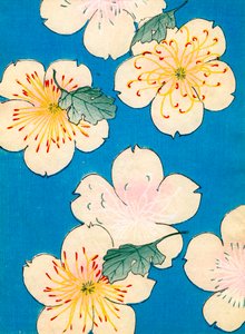 farget treblokktrykk av Dogwood Blossoms av Japanese School
