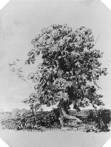 Landskap med tre og en landsby i det fjerne (fra Cropsey-albumet) av Jasper Francis Cropsey