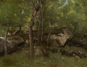 Steiner i Fontainebleau-skogen