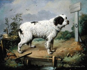 Et Newfoundland på en voll av Jean Baptiste Desgrange