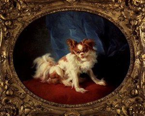 Den lille favoritten av Jean Baptiste Huet