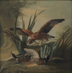 En hauk som slår på et par ender av Jean-Baptiste Oudry