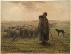 Gjeterinne og flokken hennes