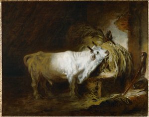 Le toreau blanc al#39; etable - den hvite oksen i stallen …